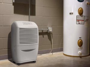 dehumidifiers basements