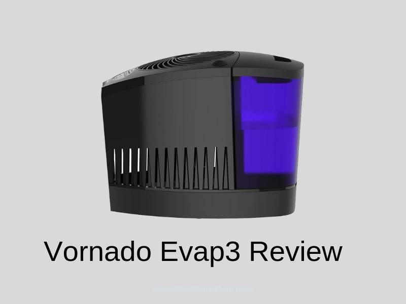 Vornado EVAP3 Review