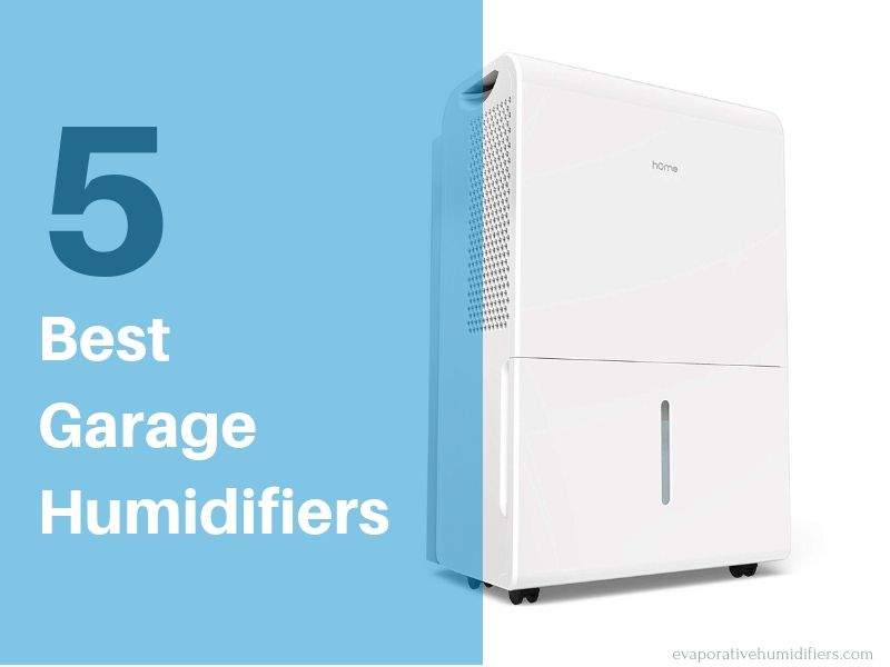 Best Dehumidifier For Garage In Summer And Winter Season