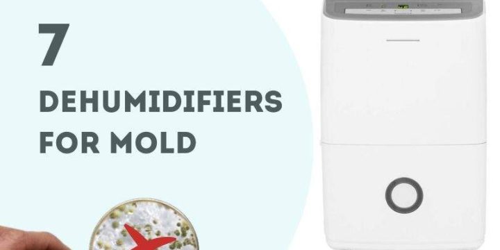 7 Best Dehumidifiers for Mold Prevention (Buying Guide 2024)