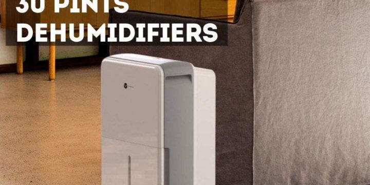 Best 30 Pint Dehumidifiers (Buying Guide 2024)