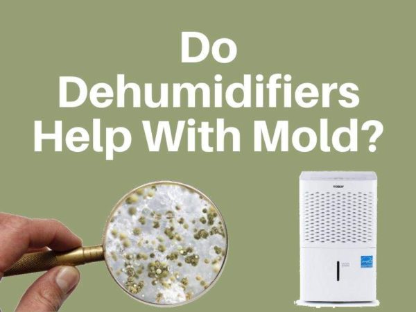 do-dehumidifiers-help-with-mold