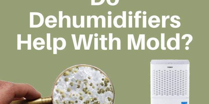 Do Dehumidifiers Help With Mold and How?