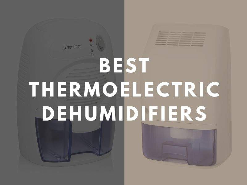 best thermoelectric dehumidifiers