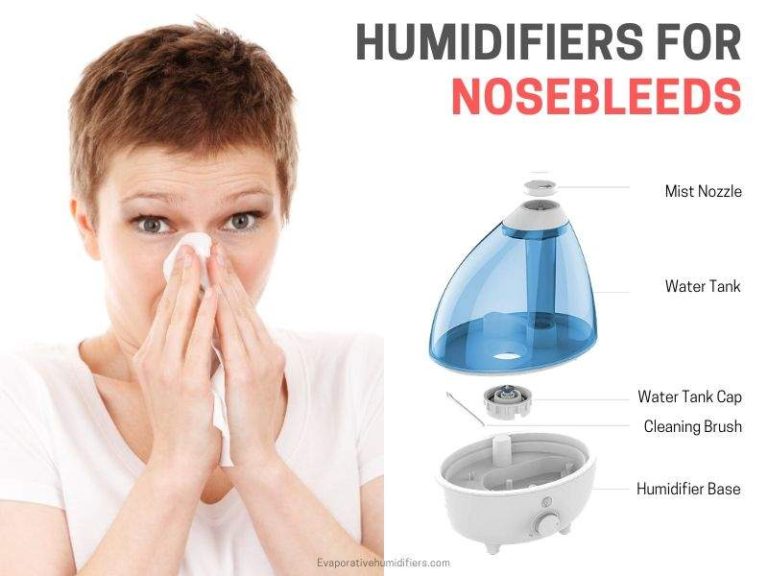 Is A Humidifier Good For Kennel Cough