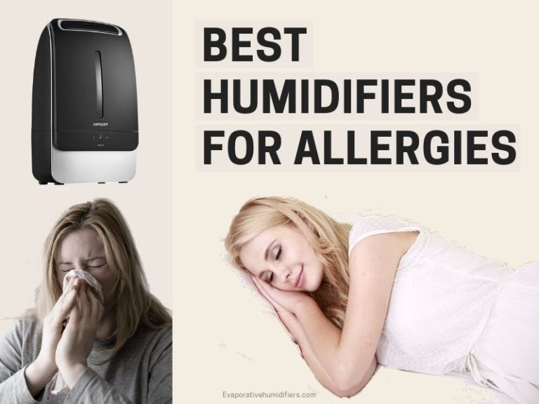 Best Humidifiers For Allergies and Asthma Buyer's Guide 2024