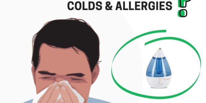 Do Humidifiers Help with Colds and Allergies?