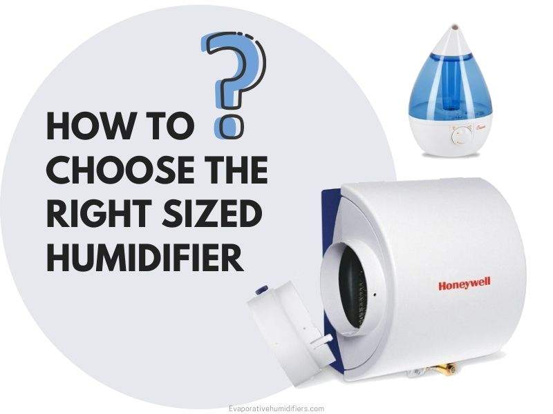 Choosing The Right Sized Humidifier For Your Space
