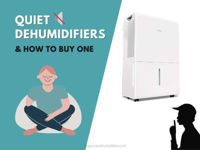 Best Quiet Dehumidifiers For 2024 And How to Choose One