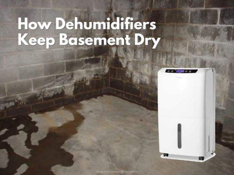 How Basement Dehumidifiers Help in Keeping Your Basement Dry