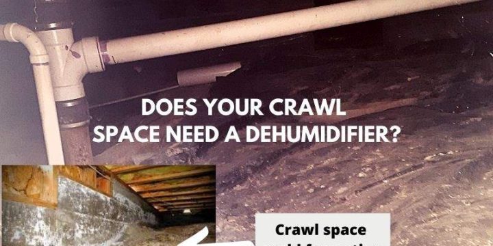 Does Your Crawl Space Need a Dehumidifier and How to Get the Right One?