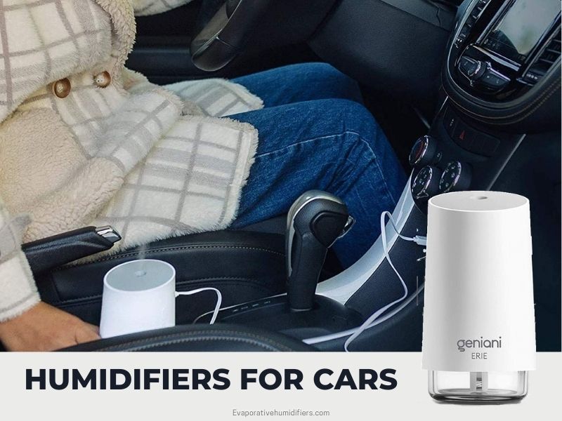 Best Humidifiers For Cars