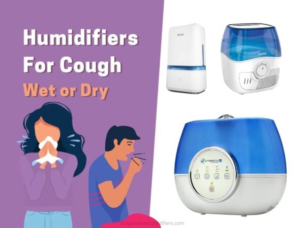 5 Best Humidifiers For Cough In 2024 Buyers Guide