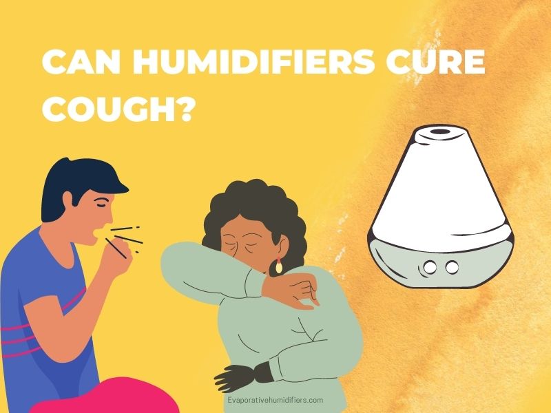 Does A Humidifier Help With A Phlegmy Cough at Scott Valdez blog