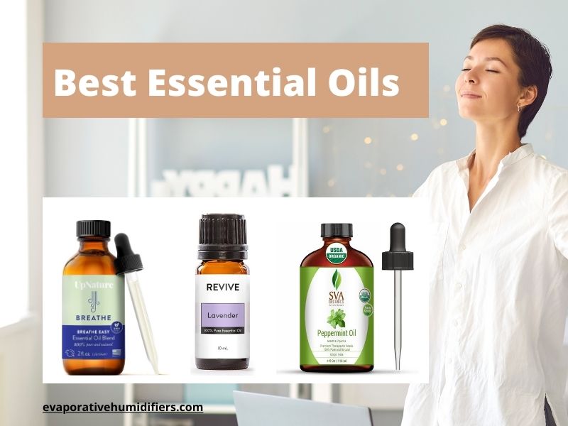 5 Best Essential Oils for Humidifiers and Guide to Choose One